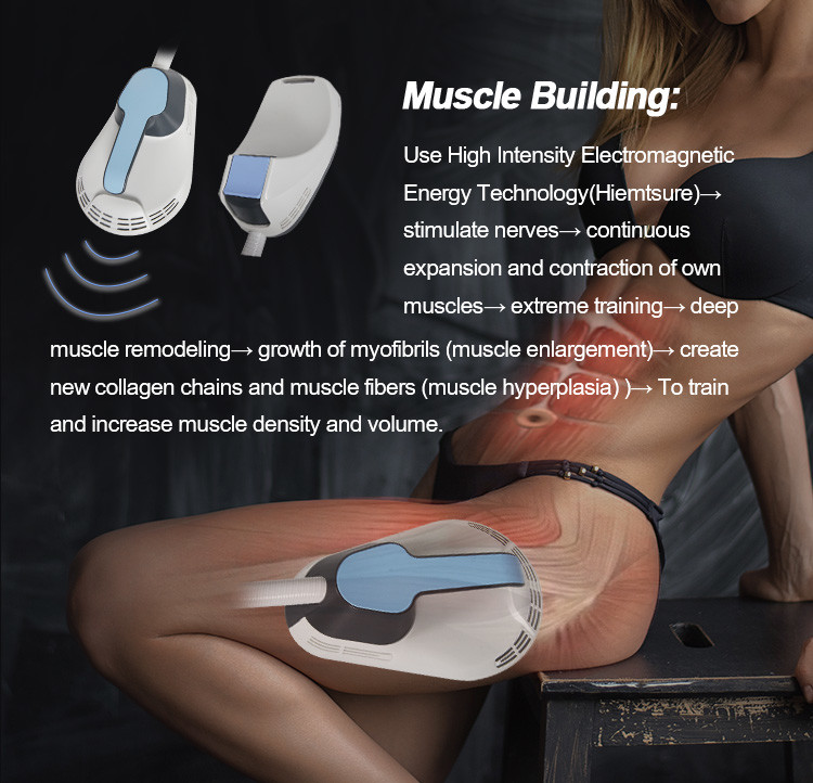 Clinic Fat Sculpting Machine 1Hz-100Hz EMS Muscle Stimulation Machine