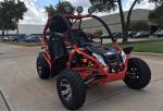 Big Go Kart 4 Wheel Drive Vehicles 200cc Oil Cooled With CE Certification