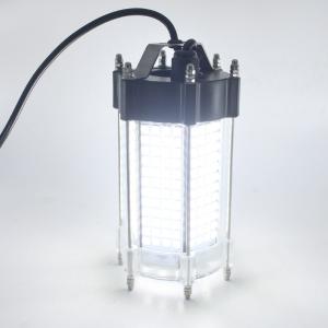 Quality Stainless Steel 5050 297 Leds Fish Attracting Light wholesale