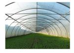 Agricultural Greenhouse Steel Pipe High Tunnel Durable Maintenance Free