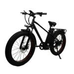 48V 17Ah 7 Speed Electric Fat Tire Bike 750W 26 Inch Electric Mountain Bike For