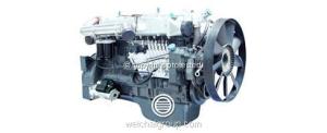 Quality Weichai WD12 Euro II HD Truck Engines wholesale