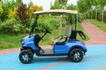 Blue 2 Seater Electric Golf Cart Lead Acid Battery Lithium Battery Support