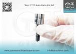 DLLA139P2229 Common Rail Nozzle For Injectors 0445110418/520