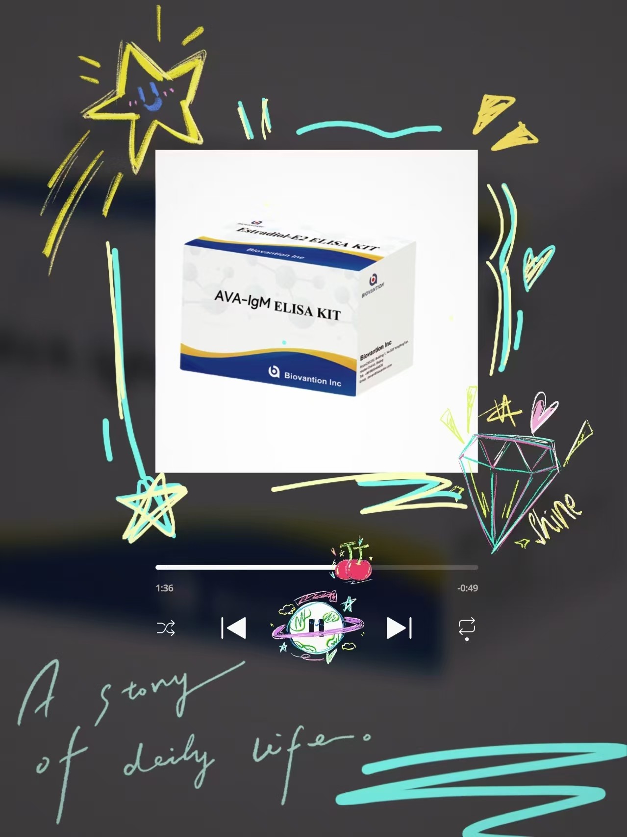 Anti-ACA IgM ELISA Test Kit Antibodies To Anticardiolipin Qualitative