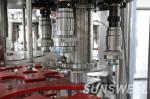 Plant Mineral Water Bottle Filling Machine 5L Fully Automatic Water Filling