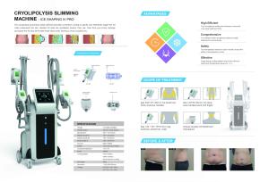 Quality 2019 New technology bearty equipment 3 cryo handles lipo cryotherapy wholesale