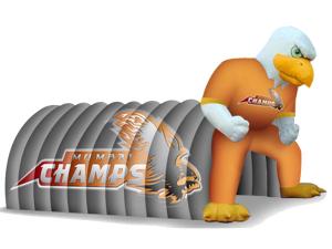 Quality Inflatable Amusement Park With Eagle Tunnel For Business wholesale
