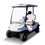 ODM All Terrain 2 Seater 4x4 Golf Buggy Cart Color