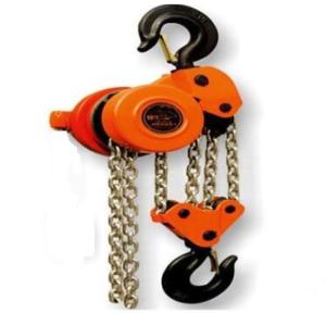 Quality Traditional Tank Lifting Construction Electric Hoist With Chain Stainless Steel wholesale