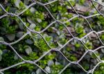 Silver Stainless Steel Woven Mesh , 304 Stainless Steel Woven Wire Cloth