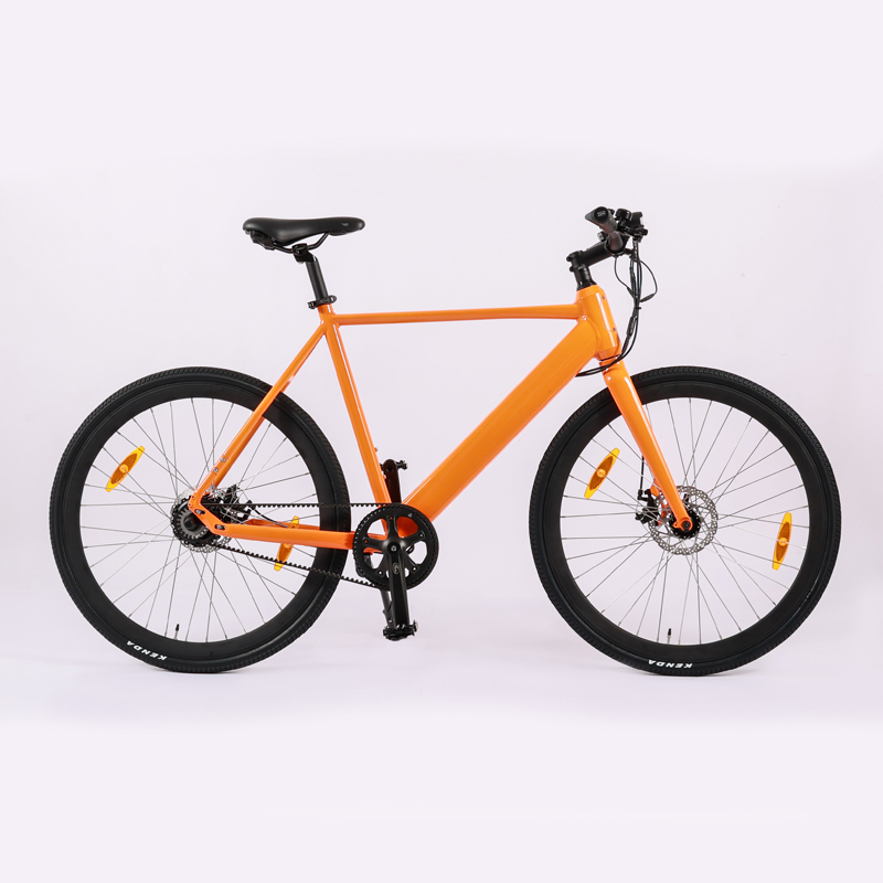 Fashionable Rear Suspension Electric Bike for Adult 48V 250W 500W Road Bicycle