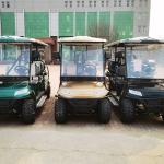 1000kg 100km Passenger Limo Golf Cart Custom