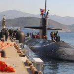 50kPa Submarine Fenders ISO17357-1:2014 BV Certificate Black Color For Berthing