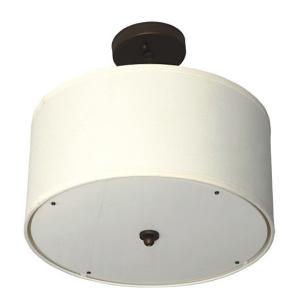 Quality 2013 ceiling lamp wholesale