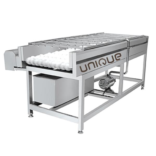 Commercial Root Vegetable Cleaning Brush Washing Machine with Stainless Steel