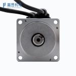 75RPM 20.8Nm 200W DC Servo Motor High Torque Low RPM