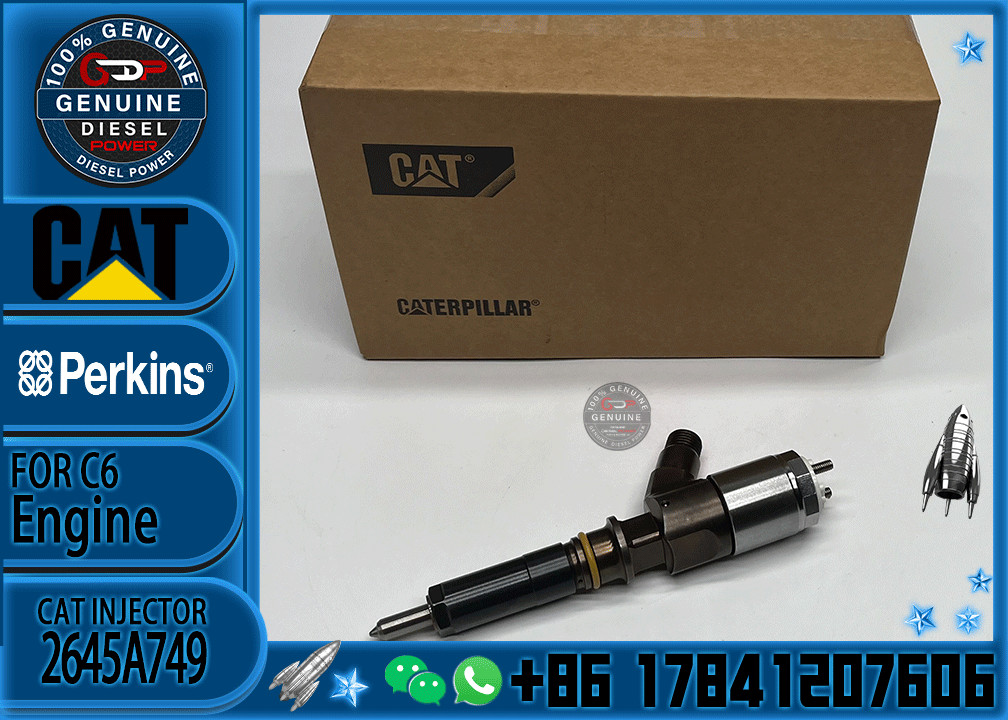 320-0690 3200690 2645A749 Fuel Injector Common Rail Injector For C6.6 Engine