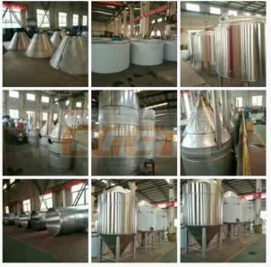 Quality 20 Bbl Fermenter Stainless Steel Tank Industrial Beer Brewing Equipment wholesale