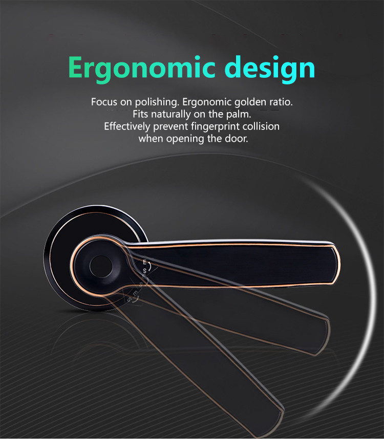 Wireless Smart Handle Door Lock Tuya WIFI Electronic Fingerprint Digital Password