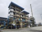 Ringelman Blackness 1 Customized Hospital Waste Incinerator For Waste Management