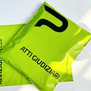 Quality Printable Polyethylene Custom Mailer Bags With Logo Tear Resistant wholesale