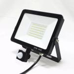 High Lumen Outdoor PIR LED Flood Light 30W Remote Control