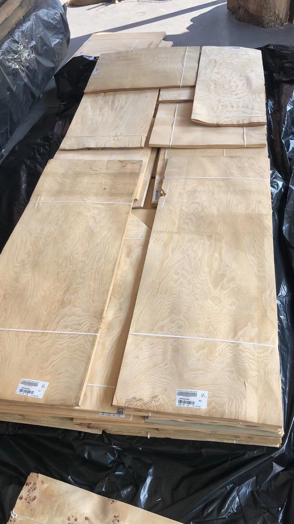 Free Sample Natural American Ash Wood Veneer for Home Table Bedroom Chair Wooden Wardrobe Furniture