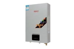 Quality Forced Exhaust Type Wall Hung Boilers 10L wholesale
