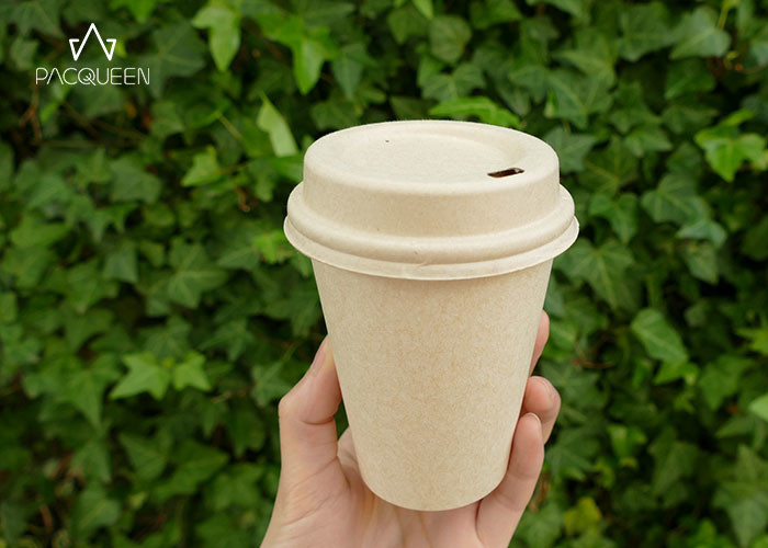 Multi Size White Compostable Kraft Paper Cups Custom Printing For Hot / Cold Drink