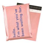 Free Sample Sustainable Mailer Bags Custom Printed Logo Packaging Shipping Bags