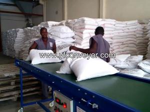 Quality Bag Loading Conveyor wholesale