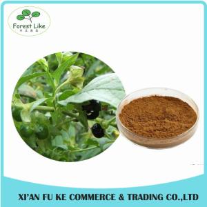 Quality Atropa Belladonna Extract Powder Hyoscyamine 0.7% -1.5% wholesale