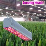 Full Spectrum LED Grow Tube 640W PPFD LED Grow Lights For Tomatoes