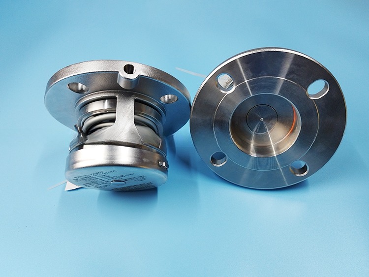 Stainless Steel Pressure Safety Relief Valve for ISO Tank Container Parts BSP or Flanged