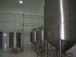 SUS 304 Brewing Equipment Beer Manufacturing Equipment 1 Year Warranty