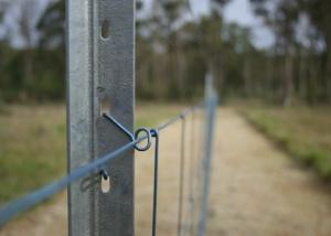 Quality OHSAS 18001 2007 Farm Star Picket Fence Posts wholesale