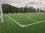 50mm Pile Height Artificial Football Pitch Disease Resistant Weaving Technique