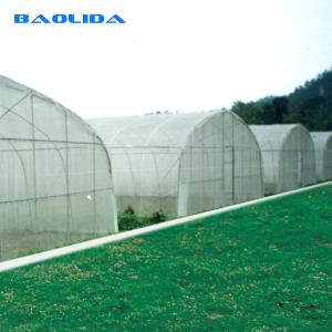 Quality Strong Tunnel Plastic Film Greenhouse Polyethylene Covering With Irrigation System wholesale
