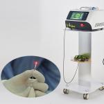 Saphenous Veins Removal Surgical Laser Equipment