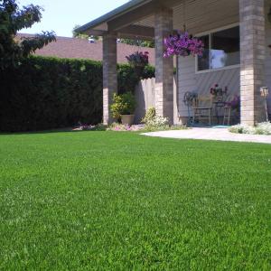Quality Home 25mm Pile Fake Grass Flooring Front Yard And Back Yard Commercial wholesale