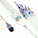 Fukuda MSC 8111 10 Lead Ecg Lead Wires Banana AHA Non - Toxic