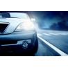Buy cheap Full Coverage Automobile Insurance Service For Car ,Office Car from wholesalers