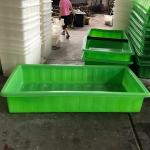 Green Color Aquaponic Grow Bed With Standing For Greenhousr Aquaponic Systems