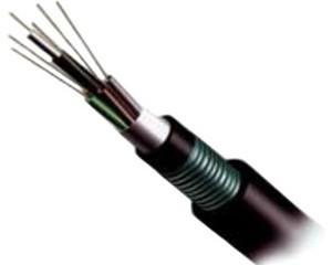 Quality Central Loose Tube G652D Outdoor Fiber Optical Cable Armored Steel Tape GYXTS12 wholesale