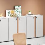 Office Furniture Steel File Cabinet Cupboard Index Card Padlock Filing Cabinet