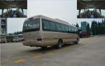 China Luxury Coach Bus Coaster Minibus school vehicle In India