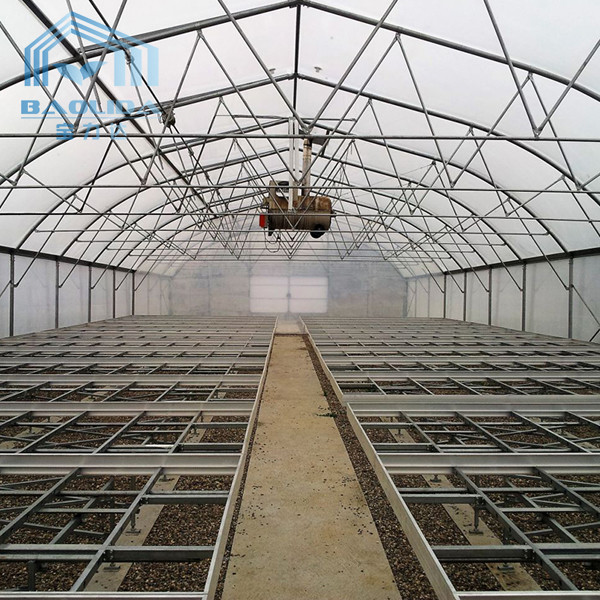 Farming Singlespan Tunnel Greenhouse With Irrigation And Hydroponic Growing System