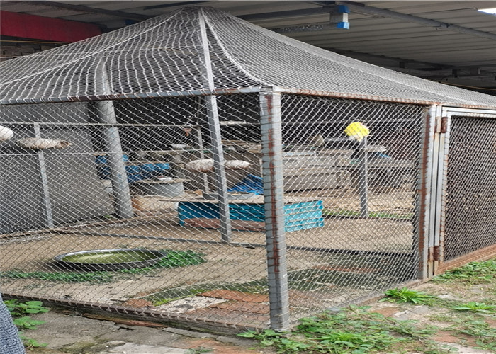 1.6mm X Tend Black Oxide Stainless Steel Aviary Mesh