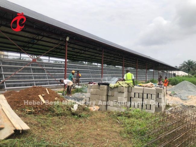 Hot Galvanized A Type Automatic Drinking System Layer Cage In Farm Adela
